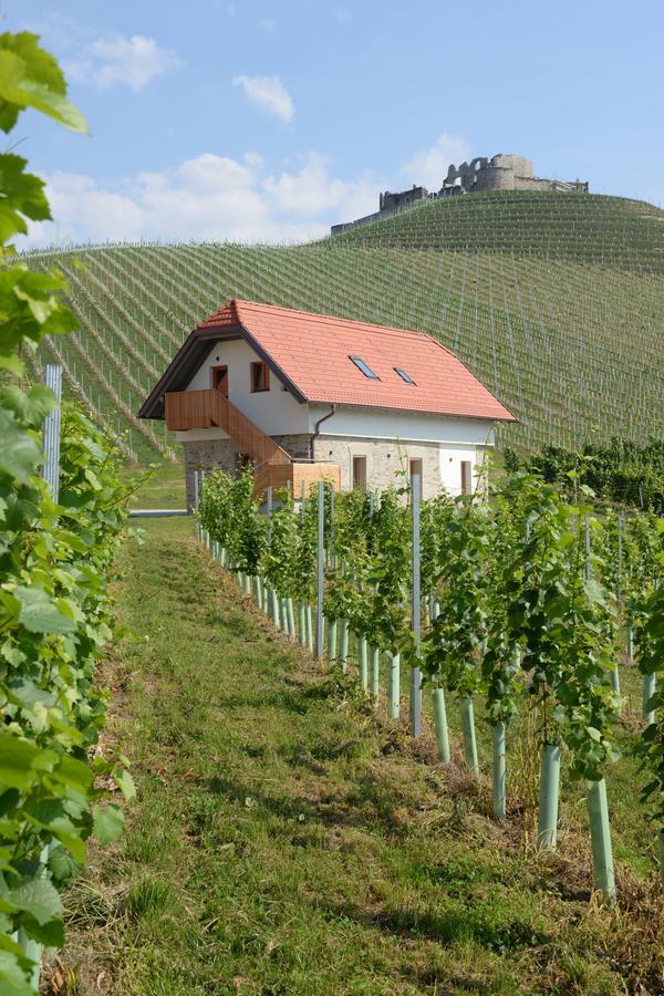 Weingut Taggenbrunn Hotell Sankt Veit an der Glan Eksteriør bilde