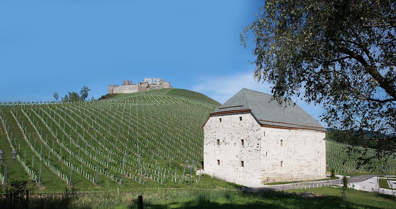 Weingut Taggenbrunn Hotell Sankt Veit an der Glan Eksteriør bilde